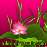 waterlily